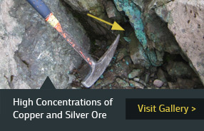 High Concentrations of Copper and Silver Ore
